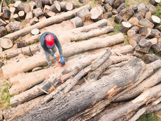 Lumberjack with a chainsaw cutting trees in the forest. Preparing firewood for winter. Top down view. Aerial view from drone
