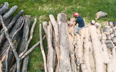 Lumberjack with a chainsaw cutting trees in the forest. Preparing firewood for winter. Top down view. Aerial view from drone
