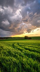 Obraz premium Golden sunset light breaks through dramatic storm clouds over a lush green field.