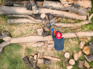 Lumberjack with a chainsaw cutting trees in the forest. Preparing firewood for winter. Top down view. Aerial view from drone
