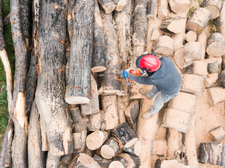 Lumberjack with a chainsaw cutting trees in the forest. Preparing firewood for winter. Top down view. Aerial view from drone
