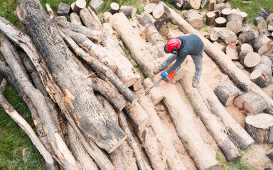 Lumberjack with a chainsaw cutting trees in the forest. Preparing firewood for winter. Top down view. Aerial view from drone

