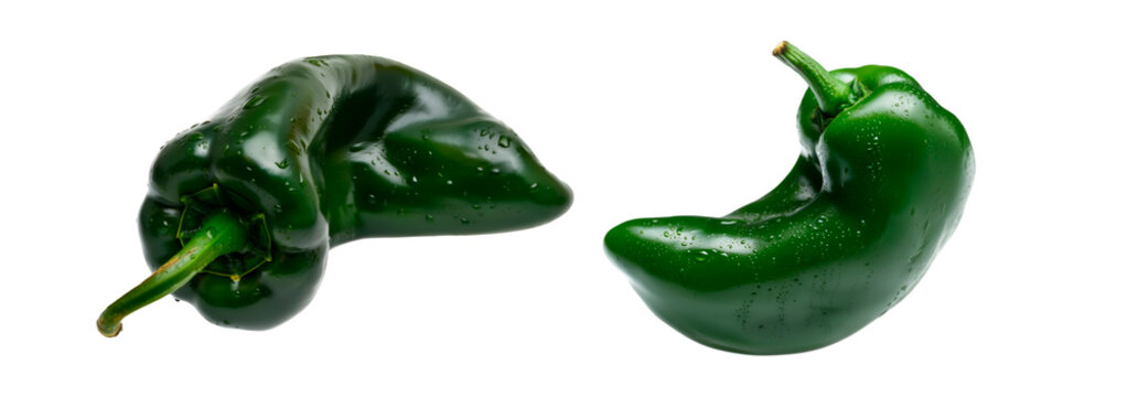 fresh green poblano pepper isolated on transparent background with drops water. PNG