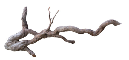 Broken tree branches with detached bark. Rustic wood branch. Weathered driftwood log isolated.