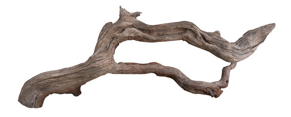 weathered driftwood log © POSMGUYS