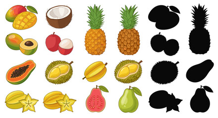 Exotic Tropical Fruits Collection: Delicious Assortment of Mango, Coconut, Pineapple, Lychee, Durian, Papaya, Starfruit, Guava and Pear Still Life, Aromatic Flavorful Freshness for Nutrition Education