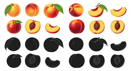 Ripe Peaches Assortment Cut and Whole Fruit Displayed with Shadows Depicting Fresh Summer Harvest for Healthy Eating Marketing Nutrition Education and Cookbook Illustrations Food Photography Realistic