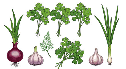 Fresh Culinary Herbs and Vegetables Still Life: Onion, Garlic, Cilantro, and Dill Arranged for Cooking Illustration, Kitchen Design, Healthy Eating, Flavorful Recipes, Organic Gardening, Botanical Art