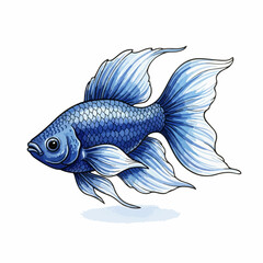 Decorative goldfish aquatic pet. Decorative fish with flowing fins in shades of blue. This decorative goldfish embodies the elegance of underwater life,