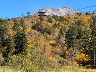北海道　旭岳　紅葉