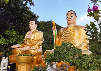 Two serene sitting Buddha statues at Chua Da Bao Pagoda in Nha Trang, Vietnam. Peaceful spiritual scene in a traditional temple surrounded by nature and mountain views.