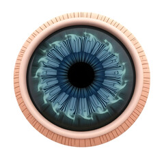 Detailed blue iris of a human eye isolated on transparent background