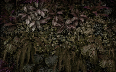 Leaves in the park concept dark green black background image(PHOTO)	