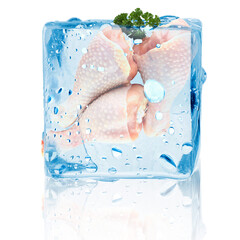 Raw chicken drumsticks in ice cube on white background. Fresh meat