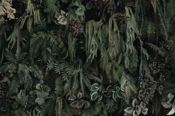 Leaves in the park concept dark green black background image(PHOTO)	