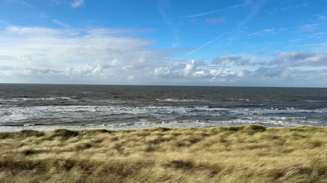 4K landscape video with ocean view and moving dune grass outdoor at daytime during autumn in Noordwijk aan Zee in The Netherlands with space for text.