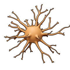 Detailed 3d rendering of a neuron cell isolated on transparent background