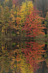 Autumn landscape with mirrored reflections in calm water, West Gilkey Lake, Michigan, USA