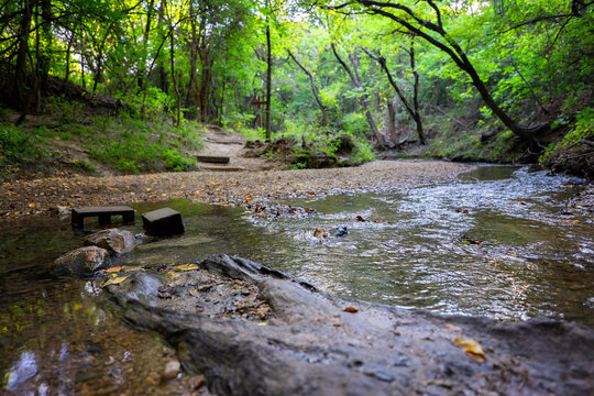 A city park in Dallas county - small creek zig zag through the forest. Everything is so green and beautiful. 