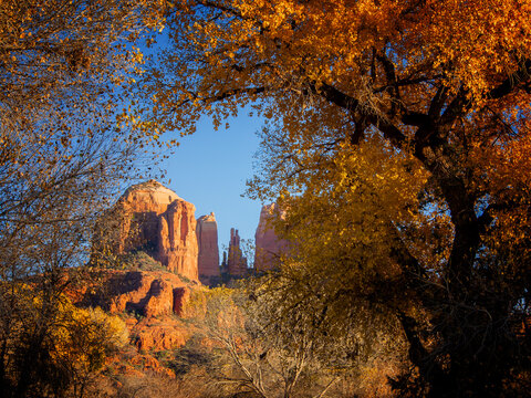 In Sedona, Arizona, fall is the most beautiful time in the park. Sun is shining on the sandstone and yellow autumn trees. Everything is so peaceful and beautiful. 