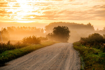 road in the fog at dawn