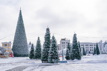 Christmas trees dusted with snow decorate the city square in Stavropol, Russia, during the daytime...