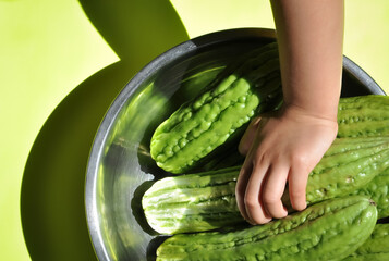 Top view of hand holding bitter gourd