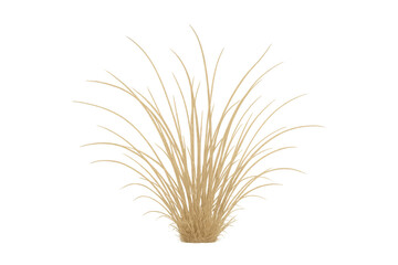Fototapeta premium Dry grass tuft showing beige plant stems, natural vegetation for arid landscapes, fields, or wild environments