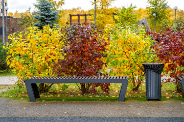 Vibrant autumn foliage in urban park with modern gray bench and trash can beside paved walkway,...