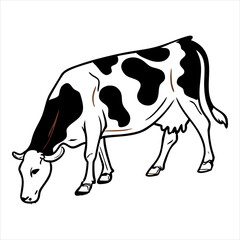 cow vector