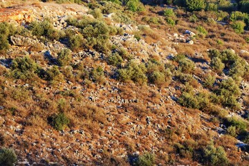 Galille mountain landscape photography with trees and the rocks