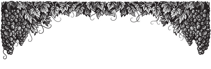 Grapes vineyard, grapevine black and white vector illustration. Set of sketch style vine branches leaves. Wine labels design, branding border hand drawn decorative.