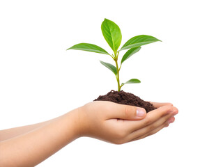 A hand holds a small plant sprouting from soil, symbolizing growth and nurturing.