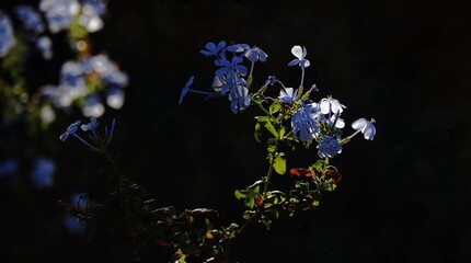 abstract background with flowers