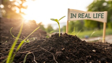 Fototapeta premium A small green sprout emerging from a pile of fertile soil