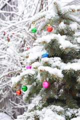 Blue spruce Christmas tree covered in snow and decorated with colorful Christmas balls in the garden