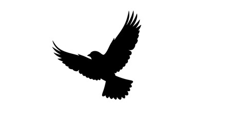 Obraz premium Silhouette of a soaring bird against a clean white background, embodying freedom and aspiration,