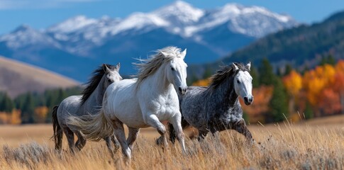 a herd of wild horses galloping across the open plains, with rolling hills in the background.