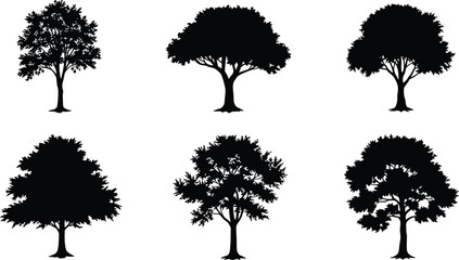 Silhouette collection of deciduous trees with detailed foliage and natural shapes, isolated black tree design for landscape and nature illustration