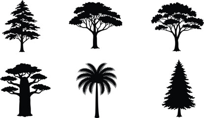 Collection of six tropical and forest tree silhouettes including palm, pine, and baobab for nature, landscape, and design projects