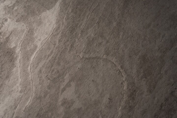Abstract stone grey background. Grey wood texture.