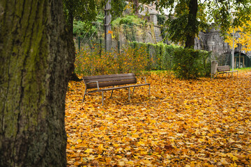 Banc dans le Parc Fabiola &agrave; Verviers en Belgique en automne