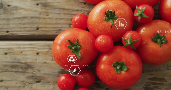 Showing cluster of ripe red tomatoes glistening in water drops on rustic counter with digital icons