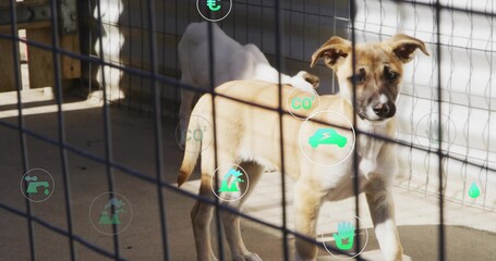 Standing light brown and white puppy looking through metal wire fence in shelter pen, digital icons