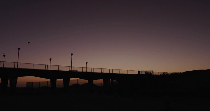 Displaying pier silhouette stretching across coastal horizon, with lampposts, railings, flying bird