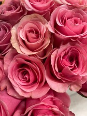 bouquet of pink roses