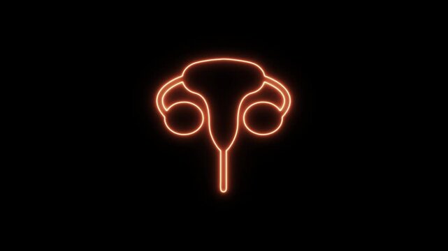 Orange glowing neon 3d medical rendering of female reproductive system organs with fallopian tubes and ovaries. Neon Icon. Neon Sign