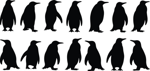 Penguin silhouette collection, arctic bird vector illustration, wildlife animal design, antarctic species, black and white penguin shapes for logo, education, and decoration