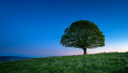Obraz premium solitary green tree atop a grassy knoll against a deep blue twilight sky