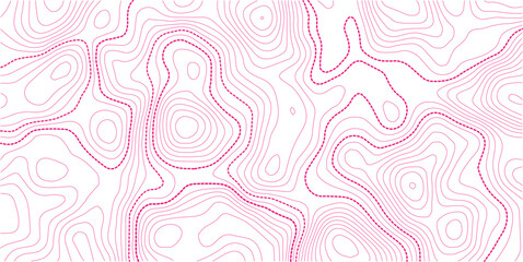 Stylized topographic contour map. Geographic line mountain relief. Abstract lines or white background. Cartography, topology, or terrain path concept. Vector illustration with editable stroke
